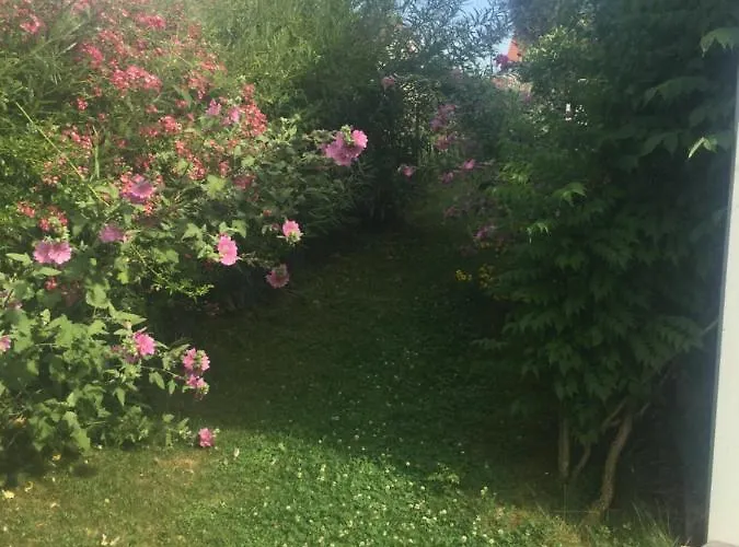 住宿加早餐酒店 Fabyann